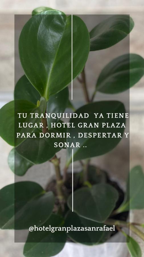 Hotel Gran Plaza San Rafael ซานราฟาเอล ภายนอก รูปภาพ
